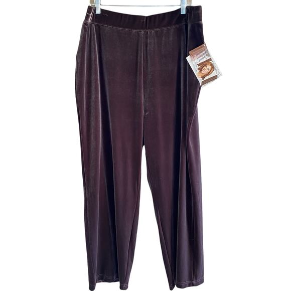 NWT SUSAN GRAVER Velour Pants Pull-On Size P1X Petite Plus Comfort Pockets - Picture 1 of 13